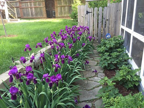 Year-round blooms