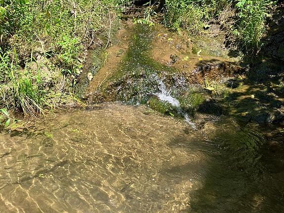5th image of Coon Club Rd
