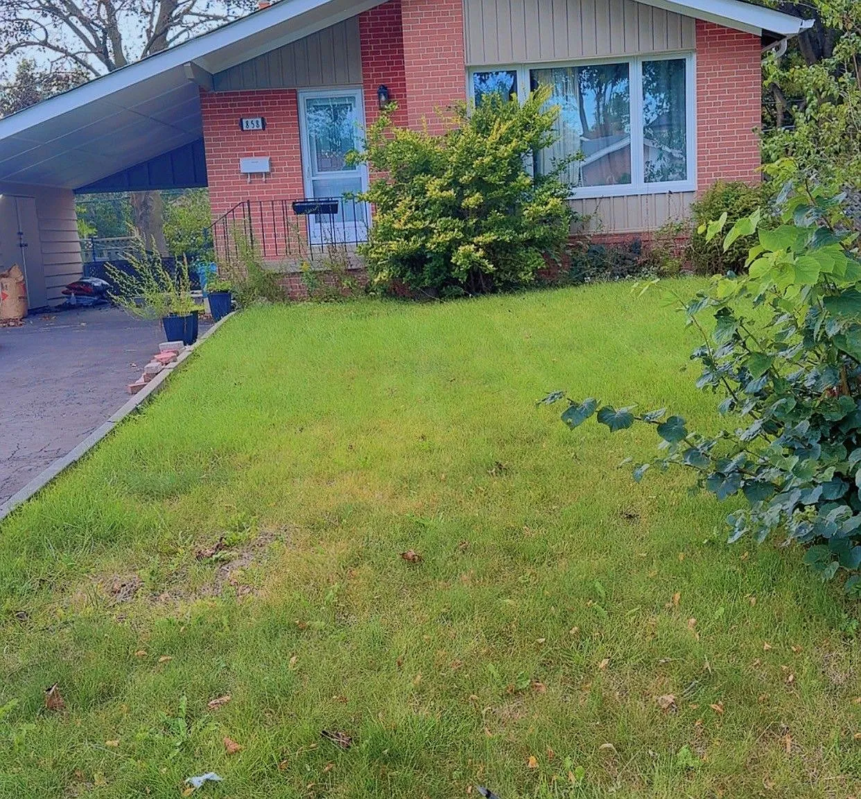 2 bed, $1,800 — Photo 2