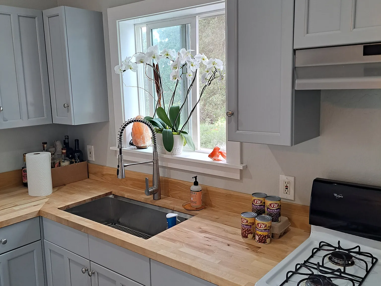 1 bed, 500 sqft, $2,000 — Photo 3