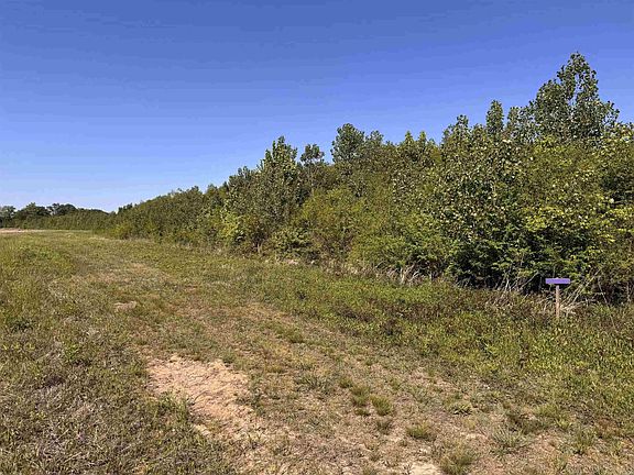 3rd image of 1 Arm Lake Rd