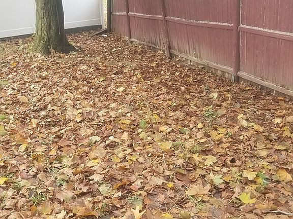 5th image of 66 Harriet Ave