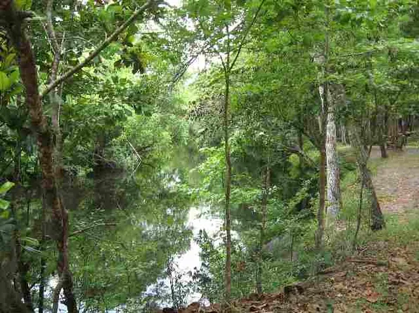 229 Seminole Ln, Sopchoppy, FL 32358