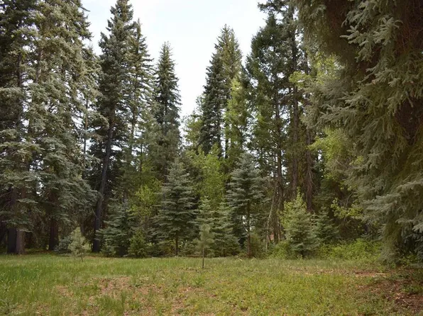 174 Trust Drive, Vallecito Lake/Bayfield, CO 81122