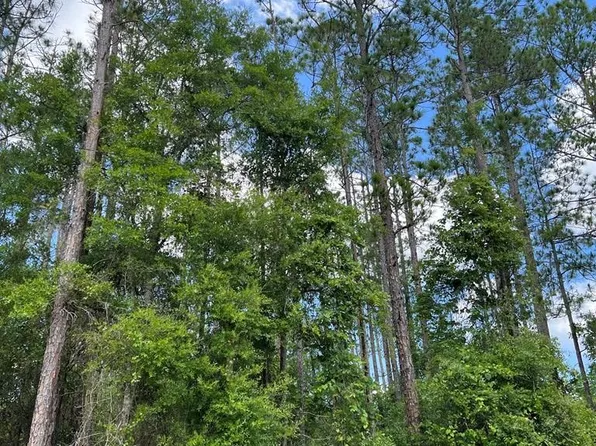 Lot 55 NE 497th St, Old Town, FL 32680