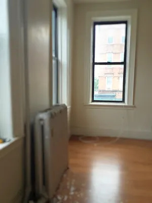 Rented by Rapid Realty Cobble Hill | media 25