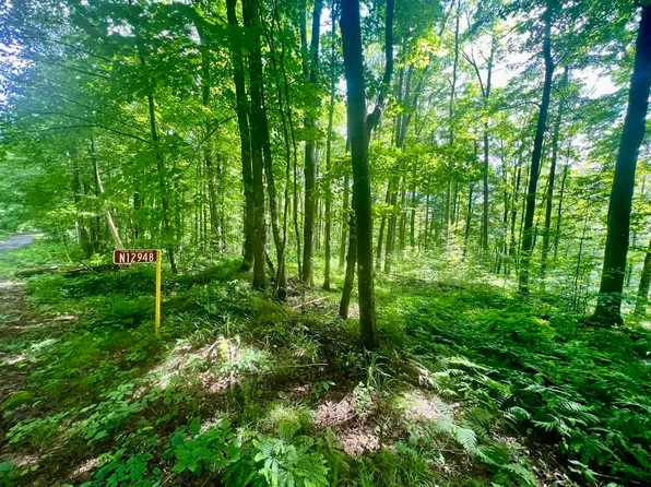 N12948 Limberg Ln #6, Athelstane, WI 54104