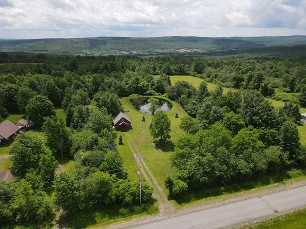 N Hill Rd Lot Wp001, Arkport, NY 14807