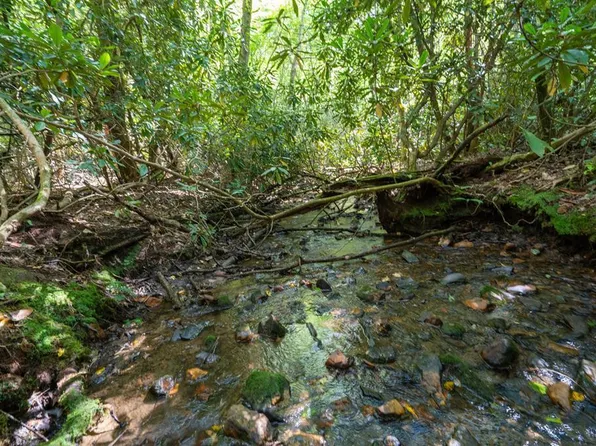 2698 Tusquittee Lot Trl #2, Hayesville, NC 28904