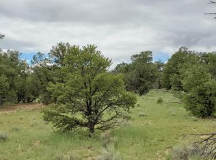 Blue Hills Trl, Pie Town, NM 87827