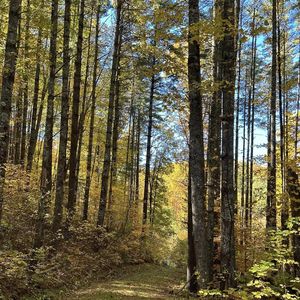 0 Bear Lake Cir, Whittier, NC, 28789
