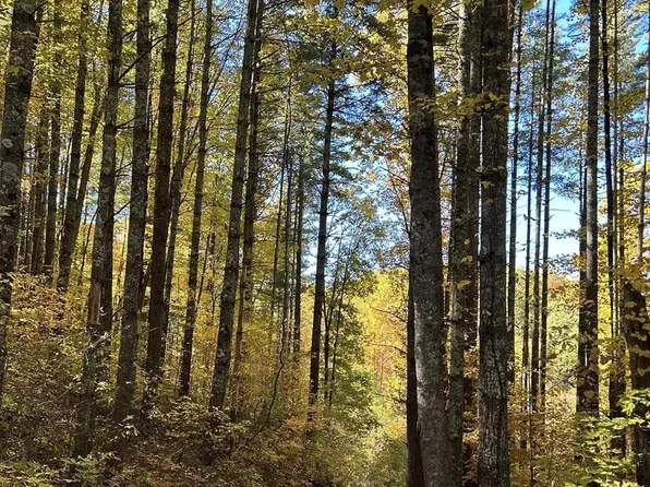 0 Bear Lake Cir, Whittier, NC 28789