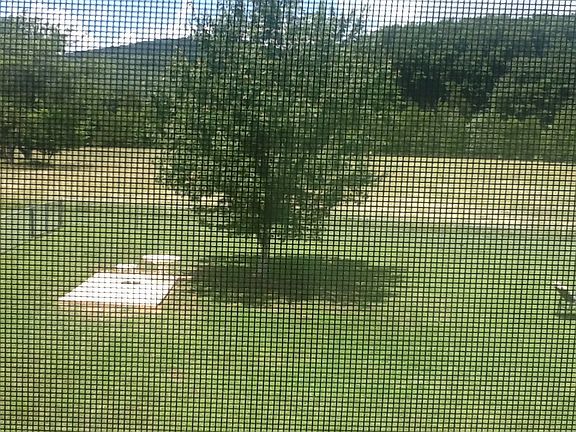 View from upstairs window