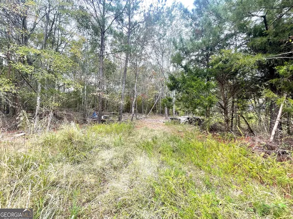 298 N 5th Ave, Carlton, GA 30627
