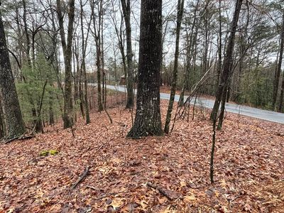 2115 Palisade Dr, Ellijay, GA, 30540
