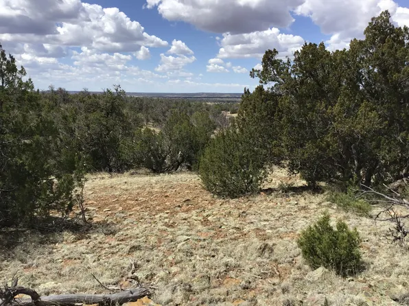 LOT 90 Peaceful Dr, Pinehill, NM 87357