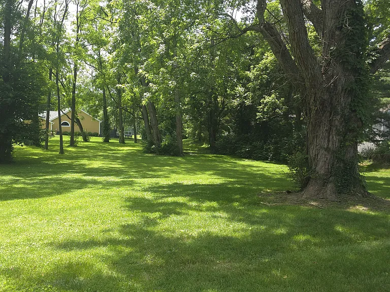 117 Elmwood Dr — Photo 12