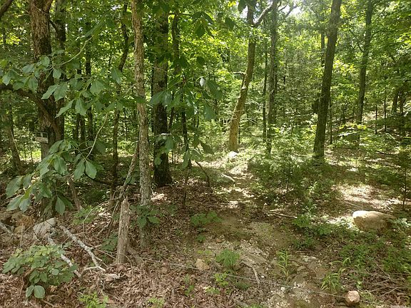 2nd image of 483 McIntire Rd