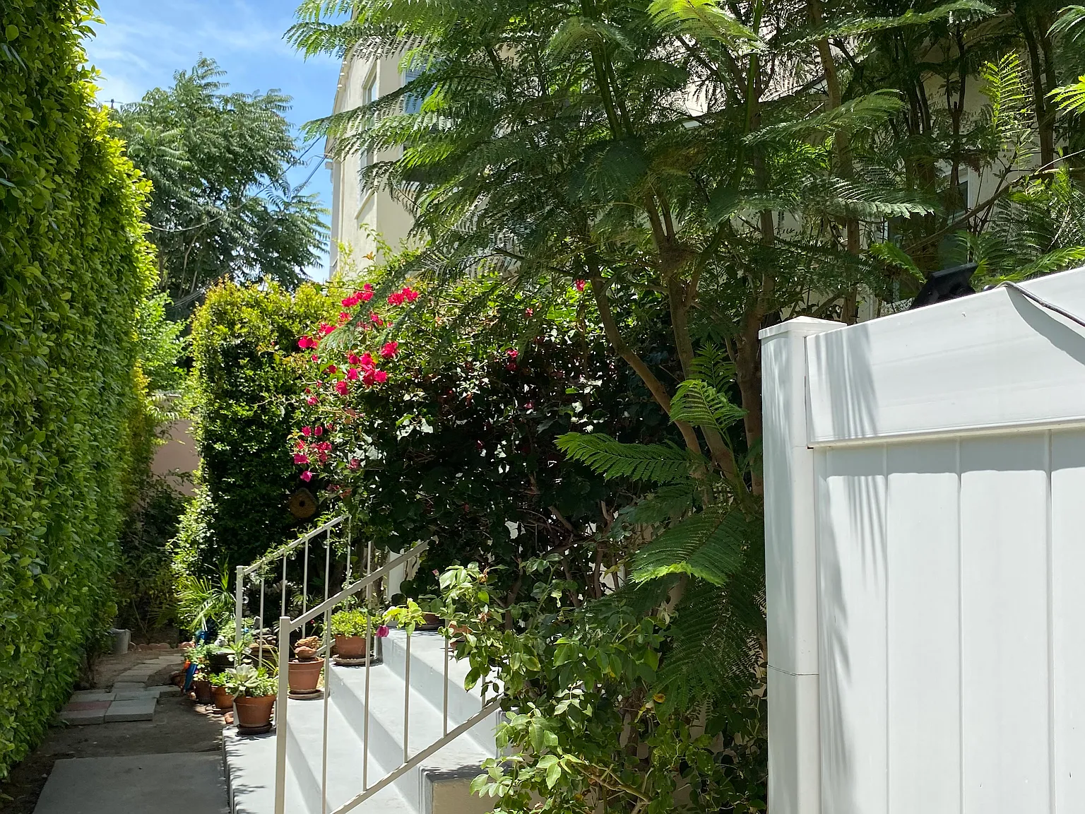 1 bed, 550 sqft, $1,850 — Photo 3