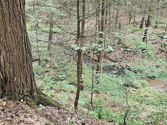 4th image of Union Hill Rd