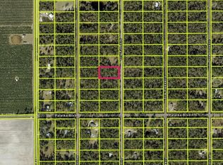10545 Gregory Ave, Hastings, FL 32145