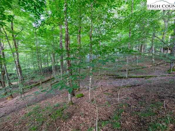 907 Charter Hills Road, Beech Mountain, NC 28604