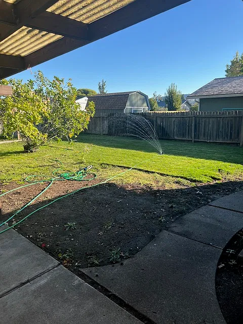 3 bed, 1113 sqft, $2,350 — Photo 2