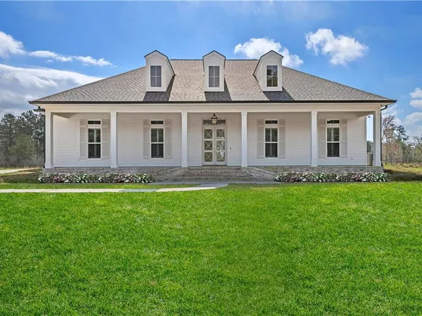 12564 Goldentop Dr, Covington, LA 70435