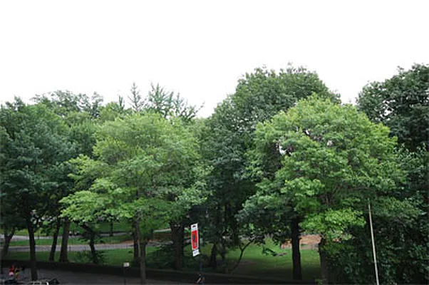 Sold by Olshan Realty | media 2