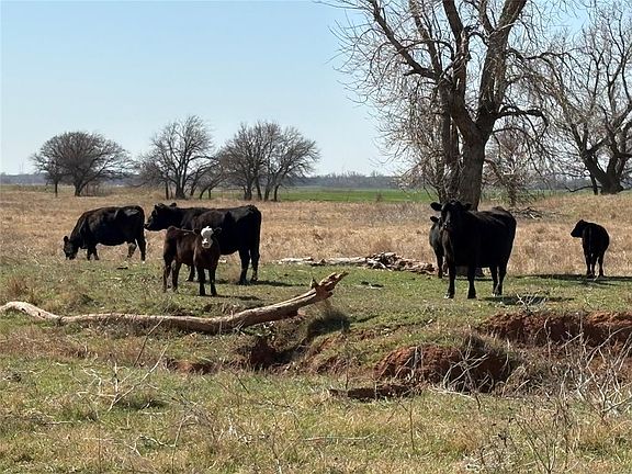 3rd image of 100 E County Rd #600