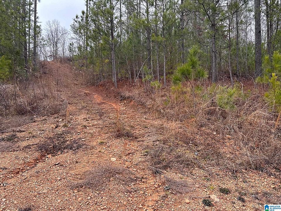 2nd image of Lake Rd Tract 12