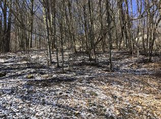 Rustic Log Cabin Ln, Roan mountain, TN 37687