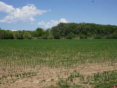 Lot 1 5600 Road, Olathe, CO, 81425