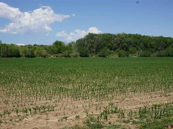 Lot 1 5600 Road, Olathe, CO 81425
