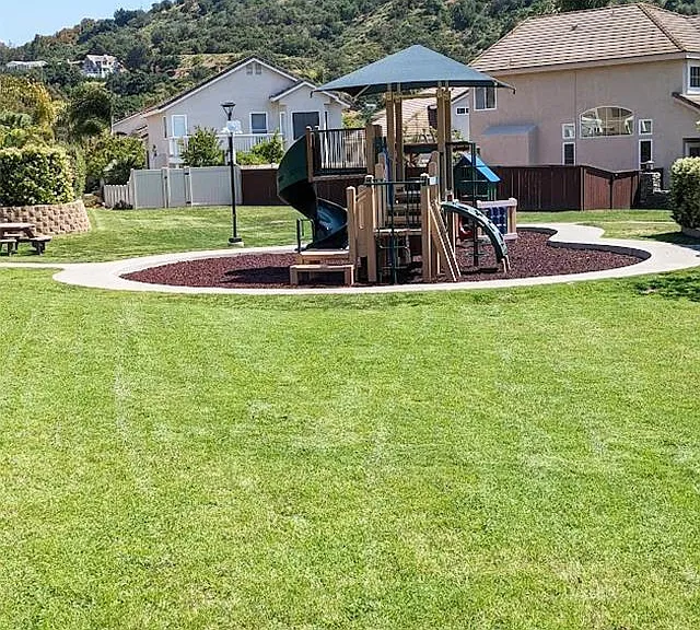 29713 Nandina Dr — Photo 37