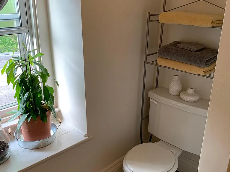 Bathroom (2 of 4)