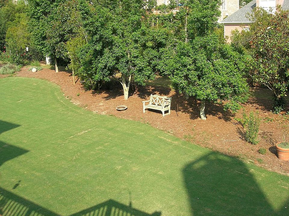 backyard from deck