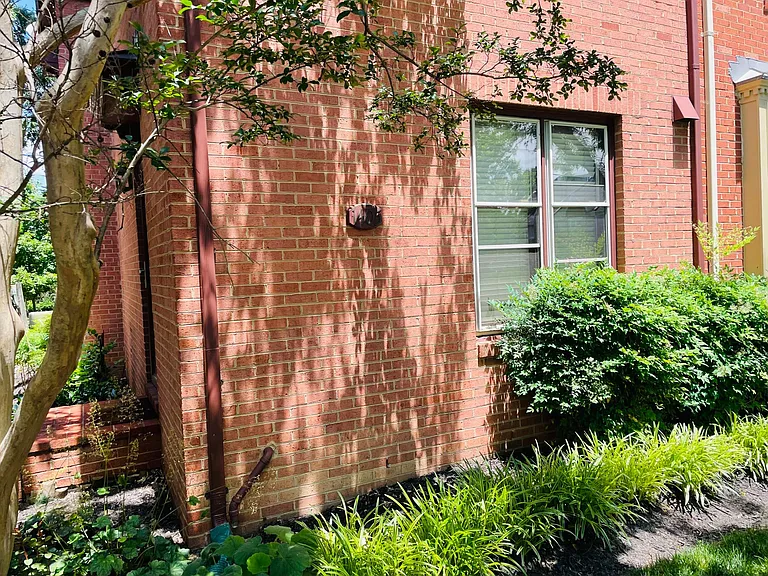 1405 Oronoco St — Photo 2