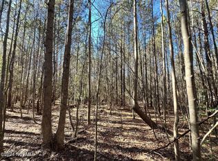 0 State Highway 220 Rd N, Ellerbe, NC 28338