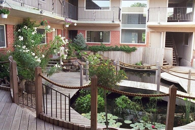 Courtyard with Koi pond.