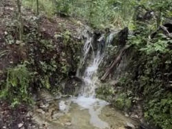 (undisclosed Address), Medina, TX 78055