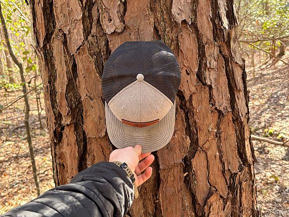 Photo Feb 05 2026 11 22 01 Am