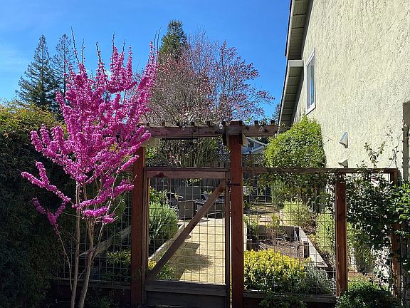 Newly landscaped garden