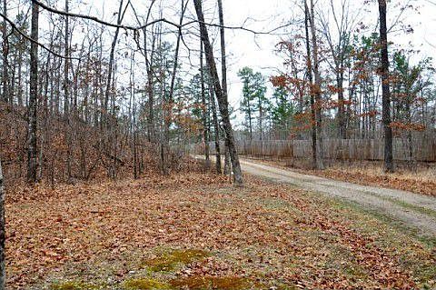 Enjoy Wildlife and Nature!