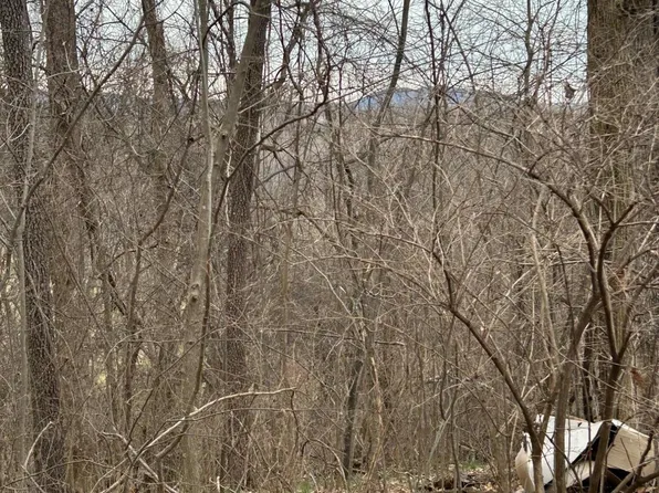 LOT 7 Walk In The Trees Dr, New Market, TN 37820