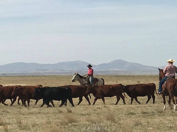 5th image of 0 Brittany Rd