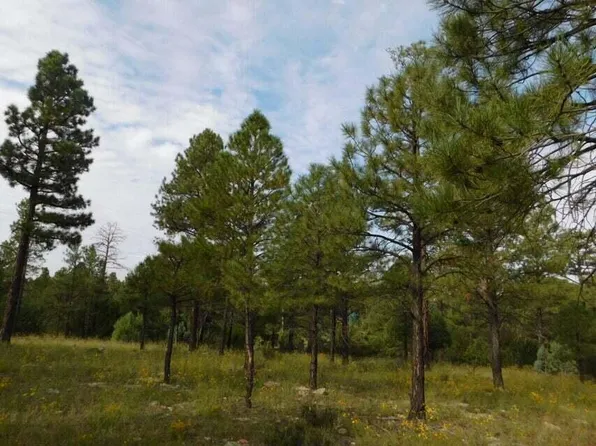 1 Coconino Forest Rd #Fr-137a, Happy Jack, AZ 86024