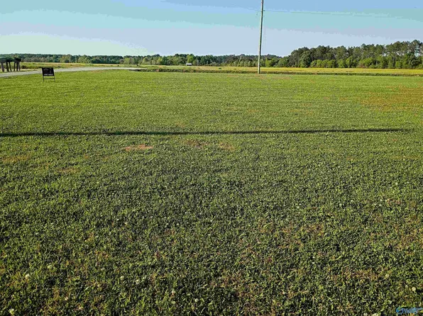 925 County Road 1042 Lot 43, Centre, AL 35960