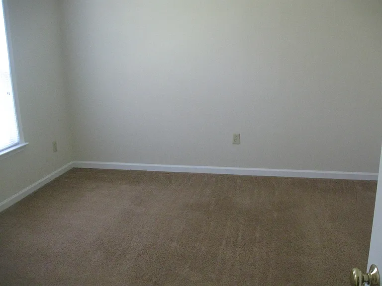 356 Bailey Run Ln — Photo 16