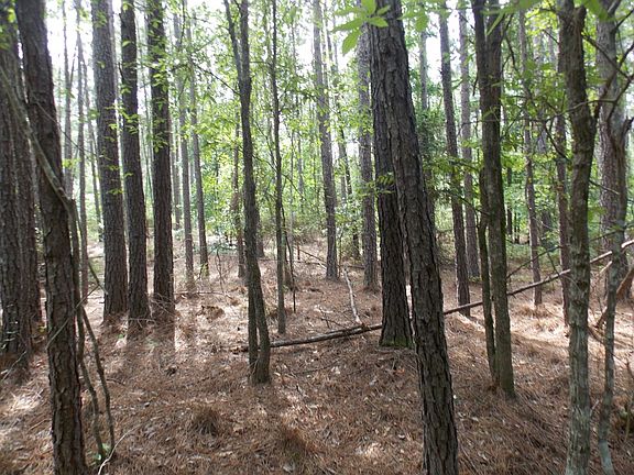 2nd image of 32 Petersburg Trce
